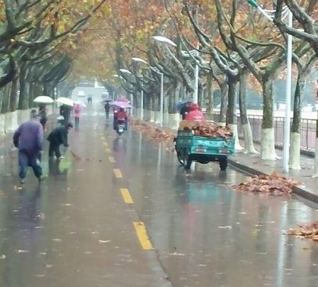 点击查看原图