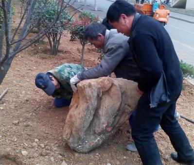 点击查看原图